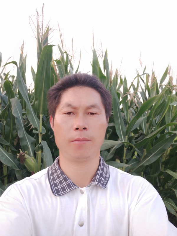 四海游龙的第二张照片--长泰交友网