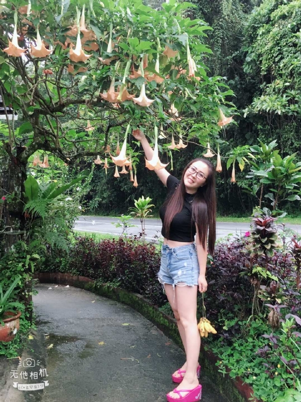 离异单身无子的第二张照片--长泰交友网