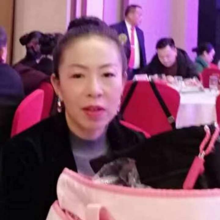 中秋桂花玉兔的第四张照片--长泰交友网